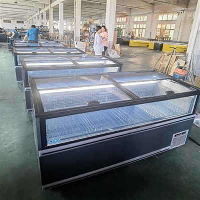 Commercial Combined Freezer
