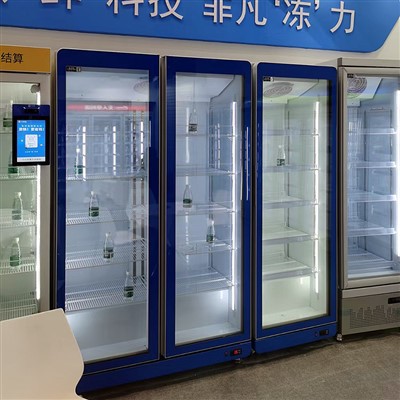Vertical Beverage Refrigerator